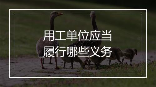 用工单位应当履行哪些义务