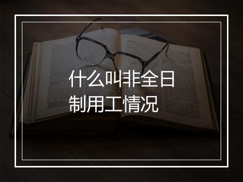 什么叫非全日制用工情况