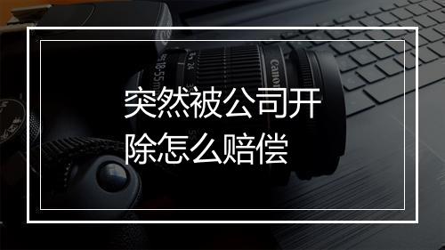 突然被公司开除怎么赔偿