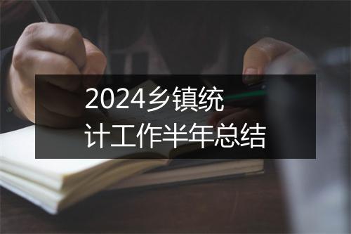 2024乡镇统计工作半年总结