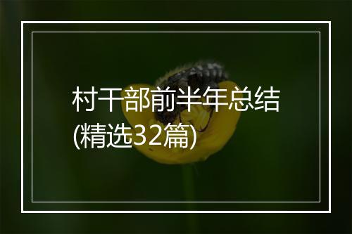 村干部前半年总结(精选32篇)