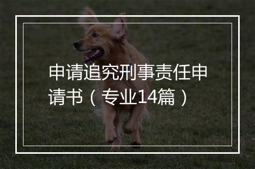 申请追究刑事责任申请书（专业14篇）