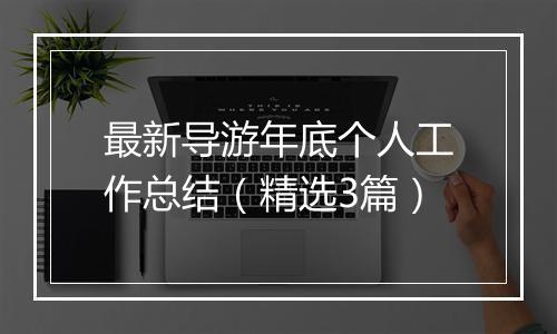 最新导游年底个人工作总结（精选3篇）