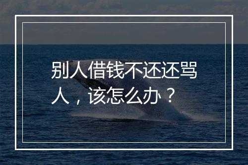 别人借钱不还还骂人，该怎么办？