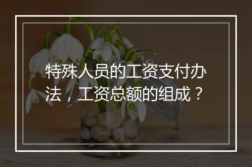 特殊人员的工资支付办法，工资总额的组成？