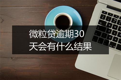 微粒贷逾期30天会有什么结果