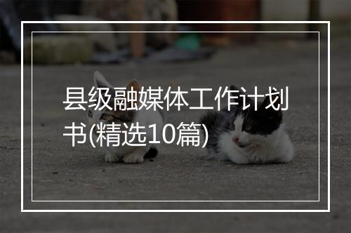 县级融媒体工作计划书(精选10篇)