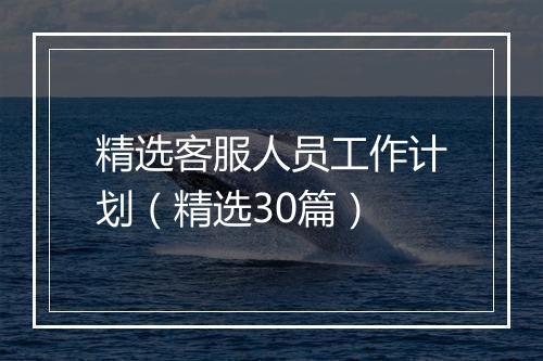 精选客服人员工作计划（精选30篇）