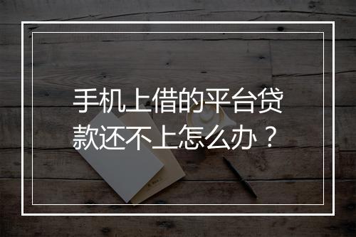 手机上借的平台贷款还不上怎么办？