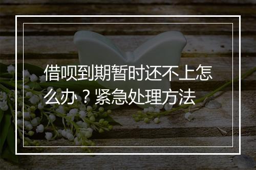 借呗到期暂时还不上怎么办？紧急处理方法