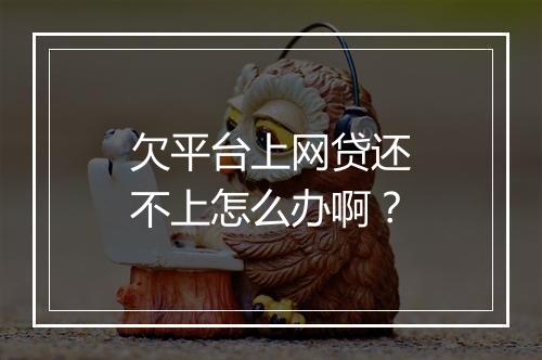 欠平台上网贷还不上怎么办啊？