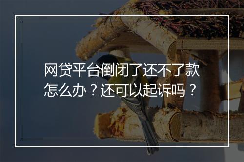 网贷平台倒闭了还不了款怎么办？还可以起诉吗？