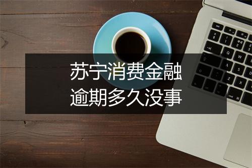 苏宁消费金融逾期多久没事