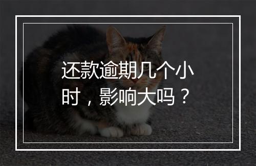 还款逾期几个小时，影响大吗？