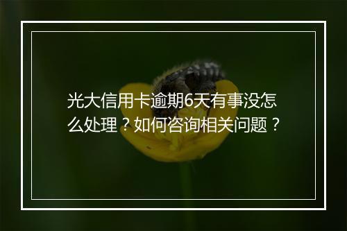 光大信用卡逾期6天有事没怎么处理？如何咨询相关问题？