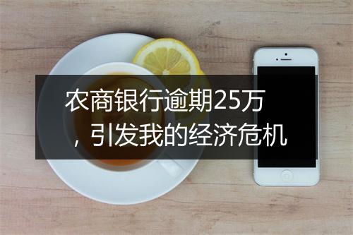 农商银行逾期25万，引发我的经济危机