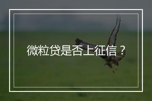 微粒贷是否上征信？