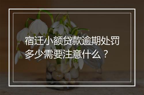 宿迁小额贷款逾期处罚多少需要注意什么？