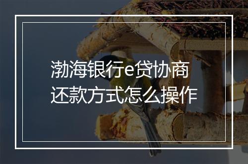 渤海银行e贷协商还款方式怎么操作
