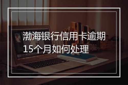 渤海银行信用卡逾期15个月如何处理