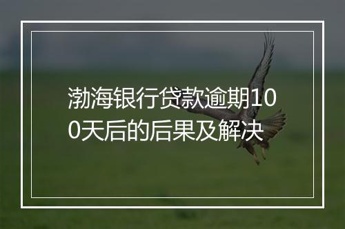 渤海银行贷款逾期100天后的后果及解决