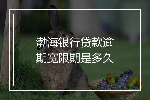 渤海银行贷款逾期宽限期是多久