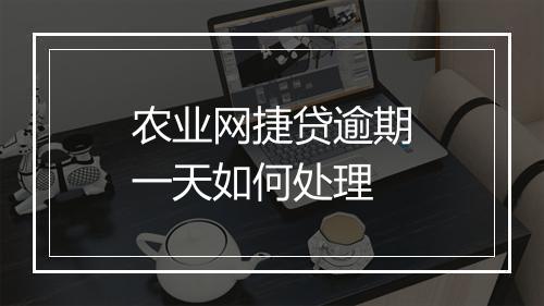 农业网捷贷逾期一天如何处理