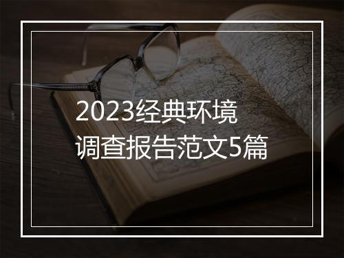 2023经典环境调查报告范文5篇