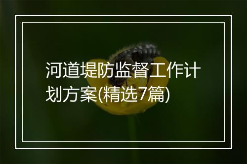 河道堤防监督工作计划方案(精选7篇)