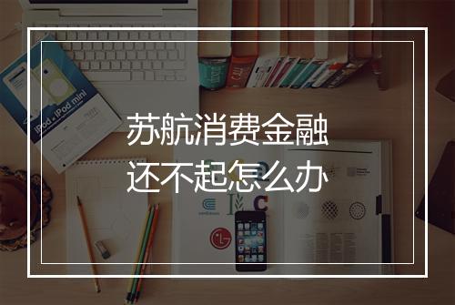 苏航消费金融还不起怎么办