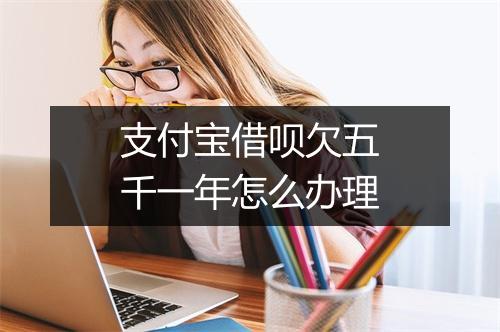 支付宝借呗欠五千一年怎么办理