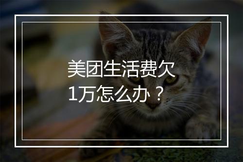 美团生活费欠1万怎么办？