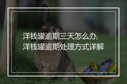 洋钱罐逾期三天怎么办,洋钱罐逾期处理方式详解