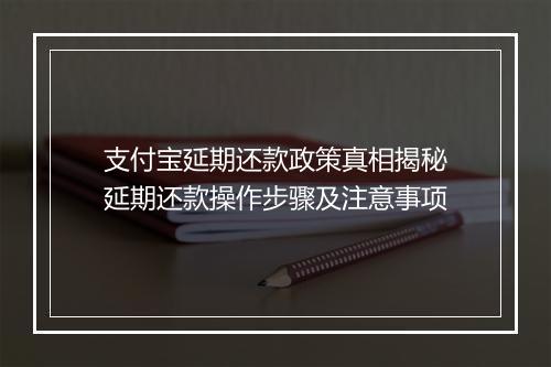 支付宝延期还款政策真相揭秘延期还款操作步骤及注意事项