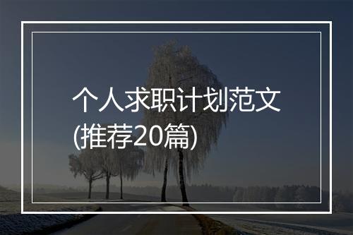 个人求职计划范文(推荐20篇)