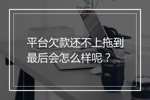 平台欠款还不上拖到最后会怎么样呢？