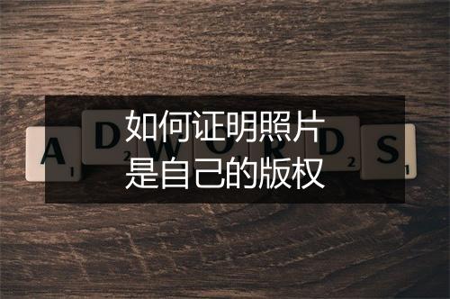 如何证明照片是自己的版权