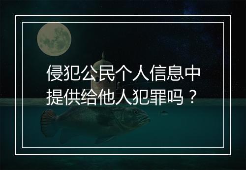 侵犯公民个人信息中提供给他人犯罪吗？