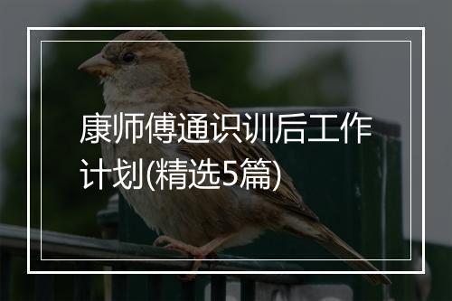 康师傅通识训后工作计划(精选5篇)