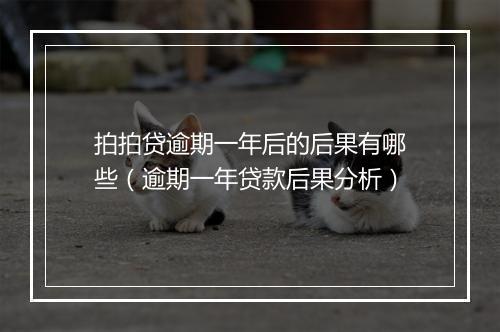 拍拍贷逾期一年后的后果有哪些（逾期一年贷款后果分析）