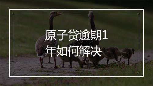 原子贷逾期1年如何解决