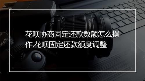 花呗协商固定还款数额怎么操作,花呗固定还款额度调整