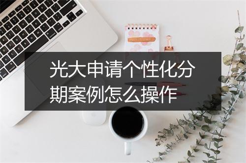 光大申请个性化分期案例怎么操作