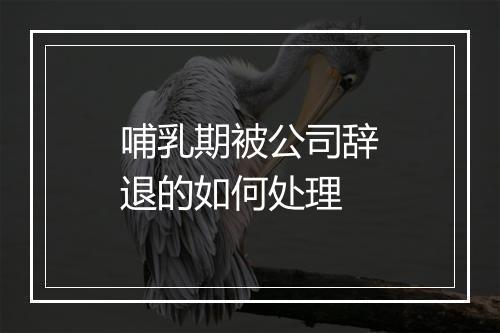 哺乳期被公司辞退的如何处理