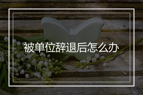 被单位辞退后怎么办