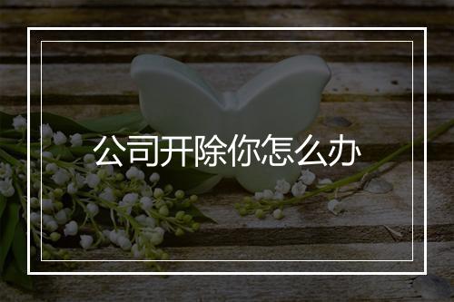 公司开除你怎么办