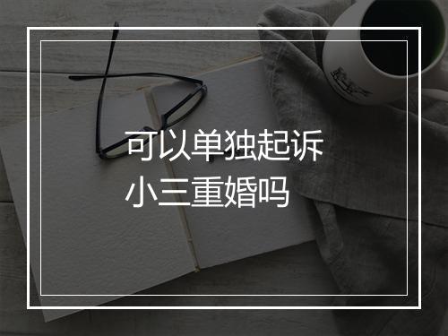 可以单独起诉小三重婚吗