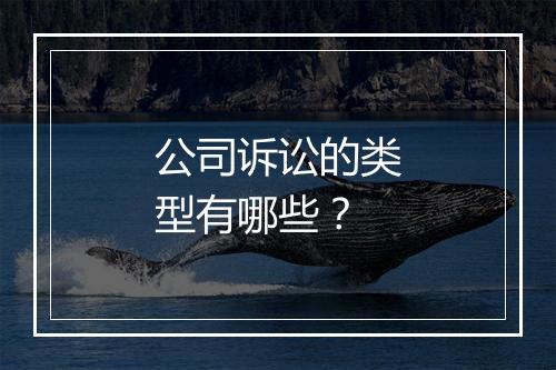 公司诉讼的类型有哪些？