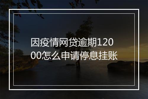 因疫情网贷逾期12000怎么申请停息挂账