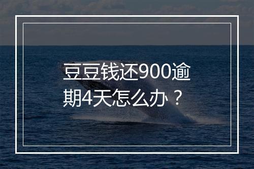 豆豆钱还900逾期4天怎么办？